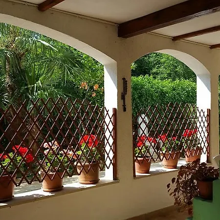 Finida Garden